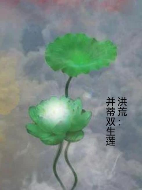 洪荒并蒂雙生蓮青玄TXT