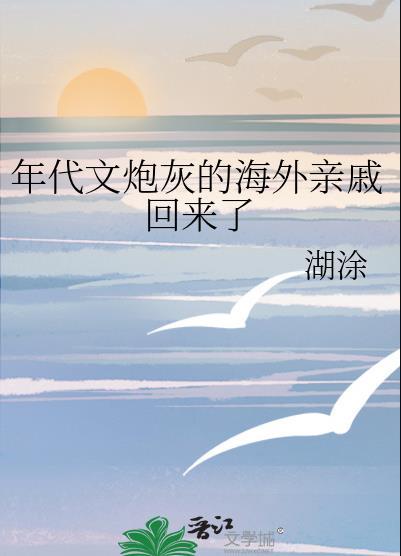 年代文炮灰的海外亲戚回来了趣书阁