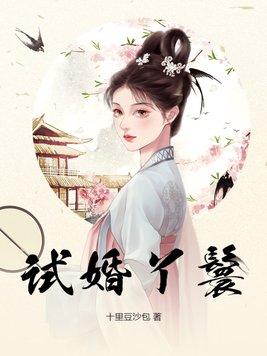 試婚丫鬟沈無妄