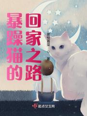 暴躁猫